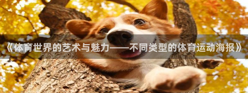谈球吧体育官网