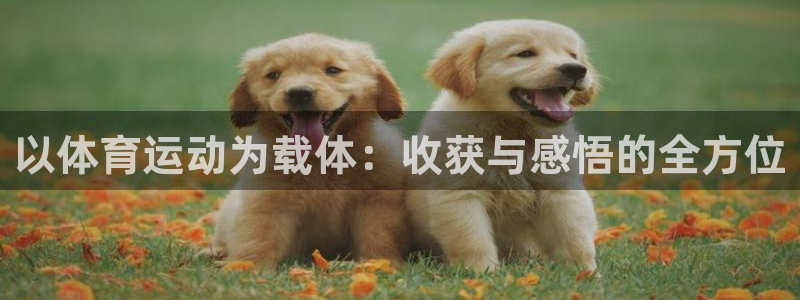 谈球吧