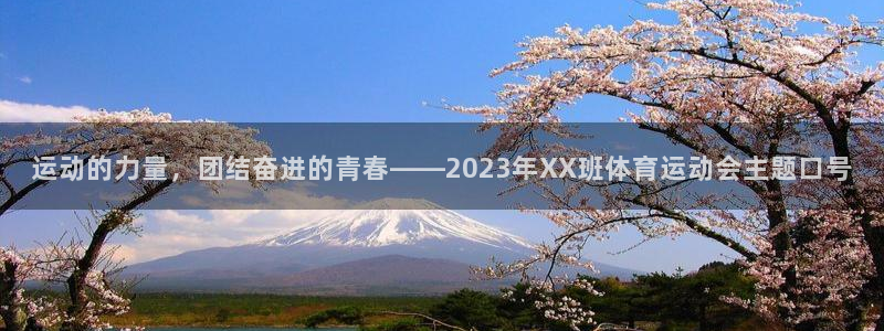 谈球吧