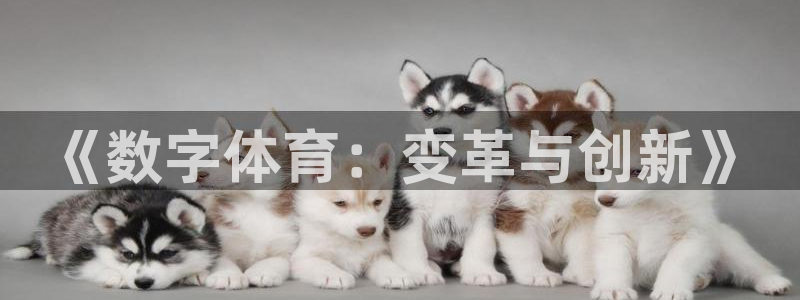 谈球吧体育官网：《数字体育：变革与创新》