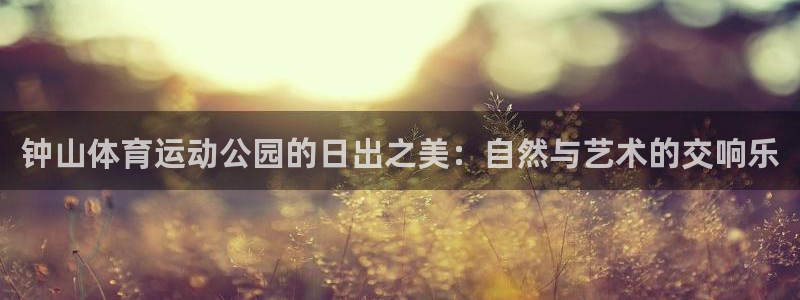 谈球吧