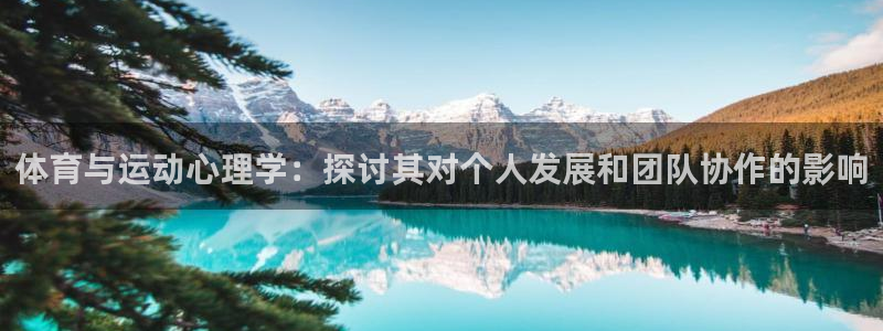 谈球吧体育：体育与运动心理学：探讨其对个人发展和团队协作的影响