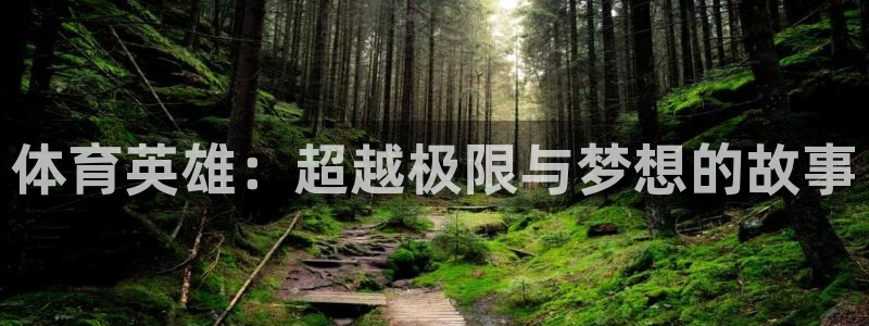 谈球吧体育：体育英雄：超越极限与梦想的故事